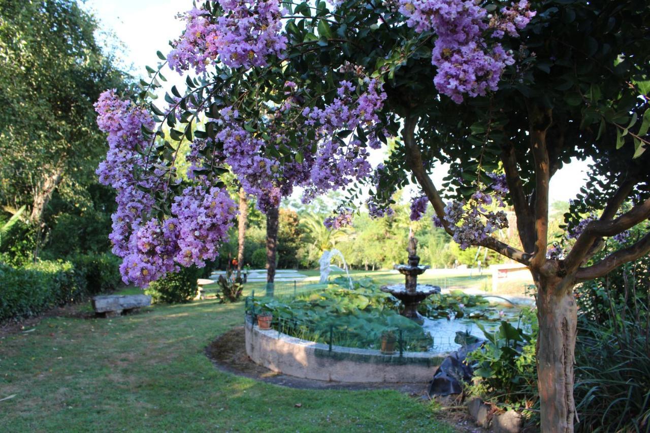 Aux Tauzins Otel Montfort-en-Chalosse Dış mekan fotoğraf